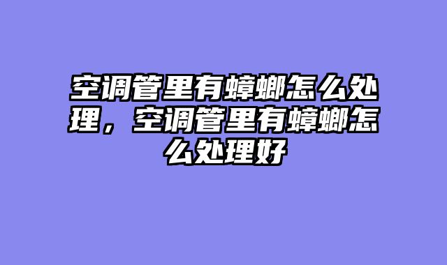 空调管里有蟑螂怎么处理，空调管里有蟑螂怎么处理好