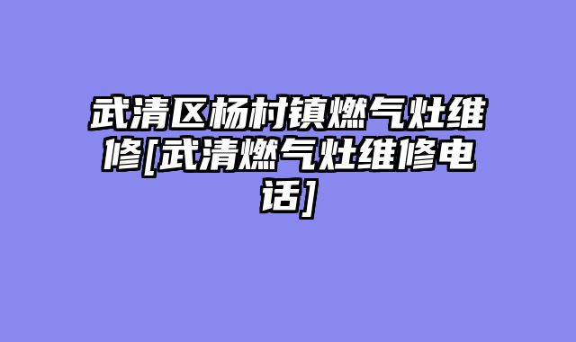 武清区杨村镇燃气灶维修[武清燃气灶维修电话]