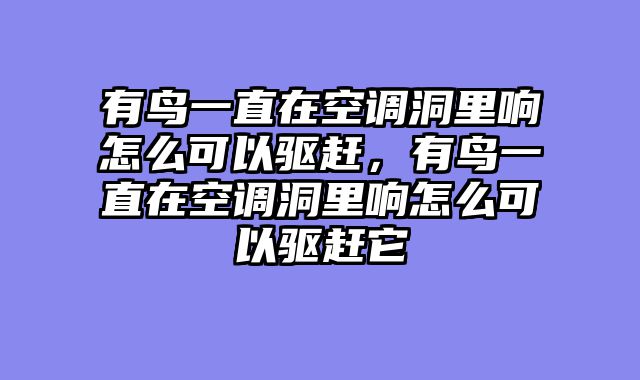 有鸟一直在空调洞里响怎么可以驱赶，有鸟一直在空调洞里响怎么可以驱赶它