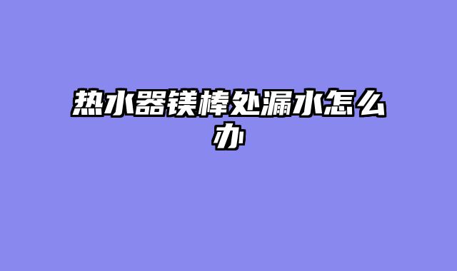 热水器镁棒处漏水怎么办