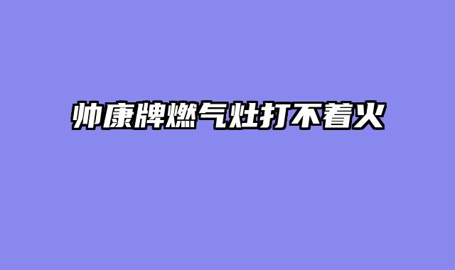 帅康牌燃气灶打不着火