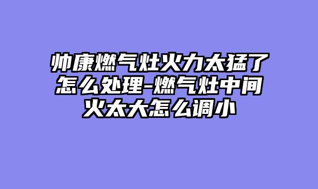 帅康燃气灶火力太猛了怎么处理-燃气灶中间火太大怎么调小