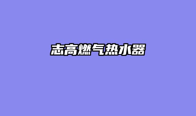 志高燃气热水器