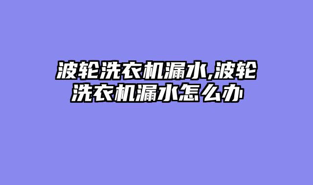 波轮洗衣机漏水,波轮洗衣机漏水怎么办