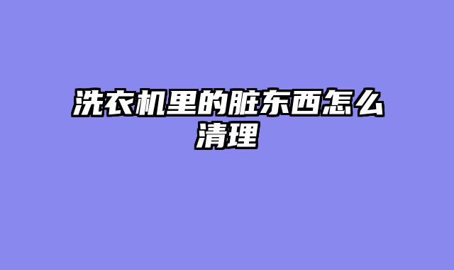 洗衣机里的脏东西怎么清理