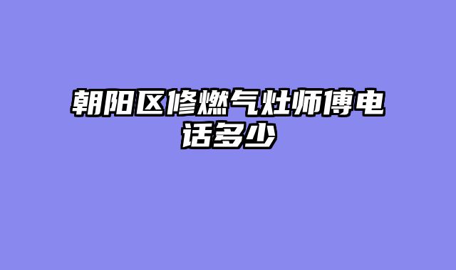 朝阳区修燃气灶师傅电话多少