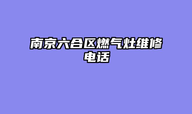 南京六合区燃气灶维修电话