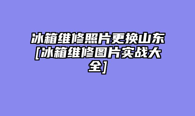 冰箱维修照片更换山东[冰箱维修图片实战大全]