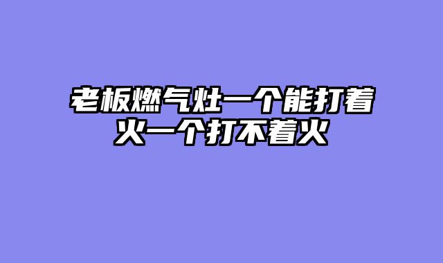 老板燃气灶一个能打着火一个打不着火