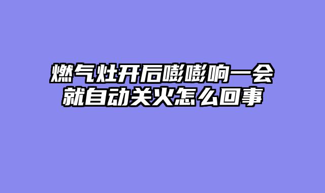 燃气灶开后嘭嘭响一会就自动关火怎么回事