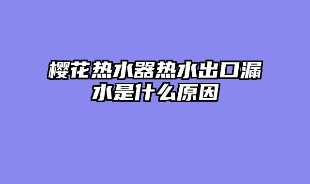 樱花热水器热水出口漏水是什么原因
