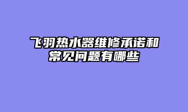 飞羽热水器维修承诺和常见问题有哪些