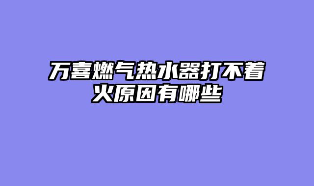 万喜燃气热水器打不着火原因有哪些