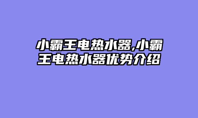 小霸王电热水器,小霸王电热水器优势介绍