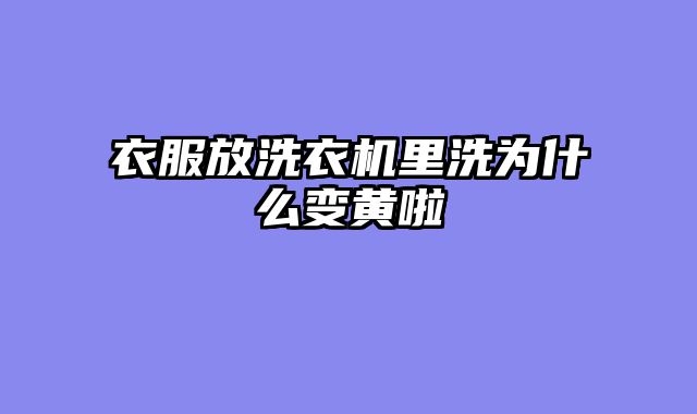 衣服放洗衣机里洗为什么变黄啦