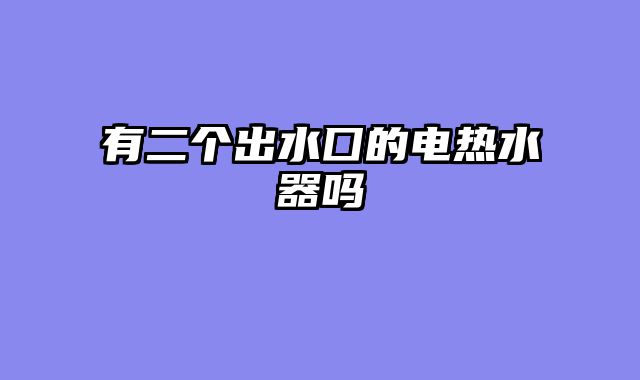 有二个出水囗的电热水器吗