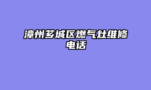漳州芗城区燃气灶维修电话