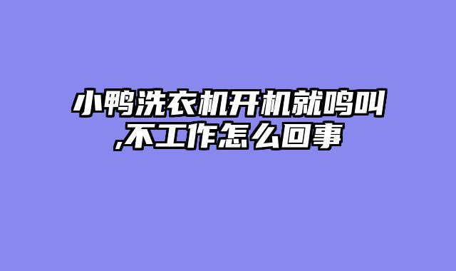 小鸭洗衣机开机就鸣叫,不工作怎么回事