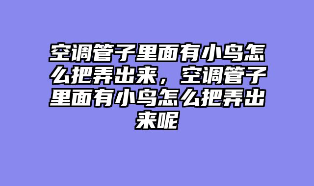 空调管子里面有小鸟怎么把弄出来，空调管子里面有小鸟怎么把弄出来呢