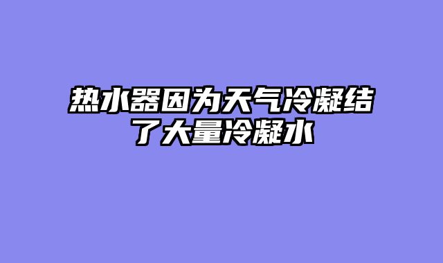 热水器因为天气冷凝结了大量冷凝水