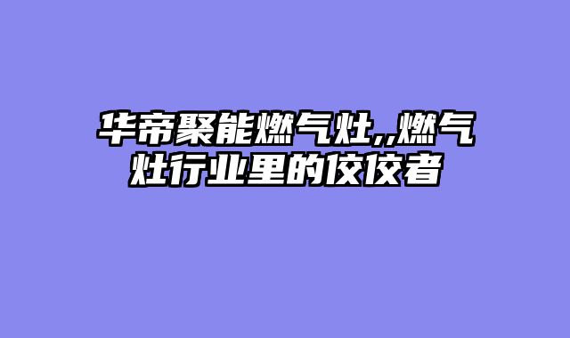 华帝聚能燃气灶,,燃气灶行业里的佼佼者
