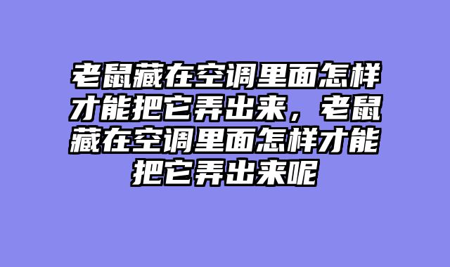 老鼠藏在空调里面怎样才能把它弄出来，老鼠藏在空调里面怎样才能把它弄出来呢