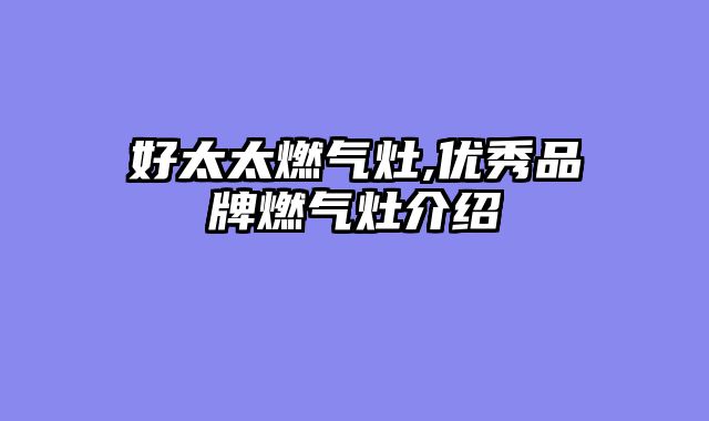 好太太燃气灶,优秀品牌燃气灶介绍
