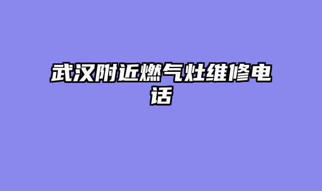 武汉附近燃气灶维修电话