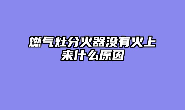 燃气灶分火器没有火上来什么原因