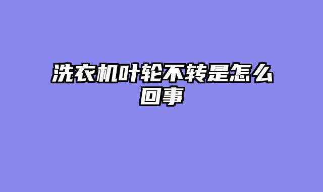 洗衣机叶轮不转是怎么回事