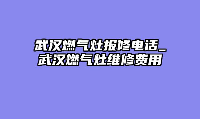 武汉燃气灶报修电话_武汉燃气灶维修费用