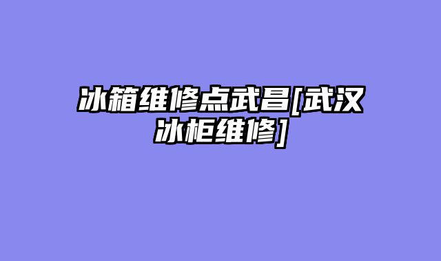 冰箱维修点武昌[武汉冰柜维修]
