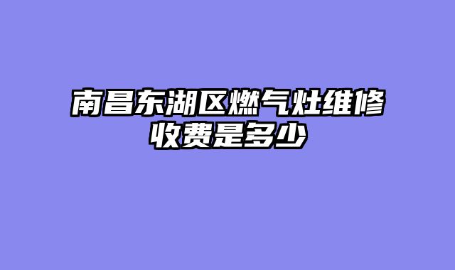南昌东湖区燃气灶维修收费是多少
