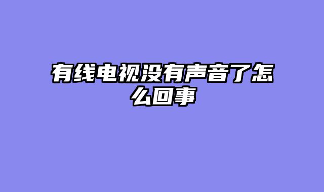 有线电视没有声音了怎么回事