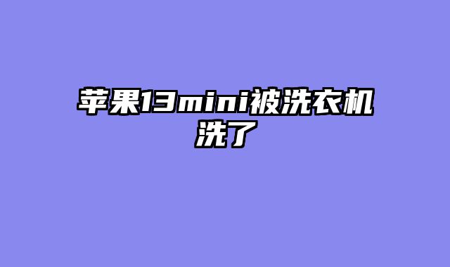 苹果13mini被洗衣机洗了