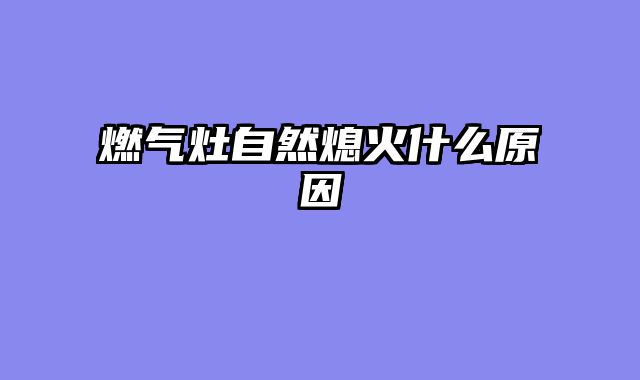 燃气灶自然熄火什么原因
