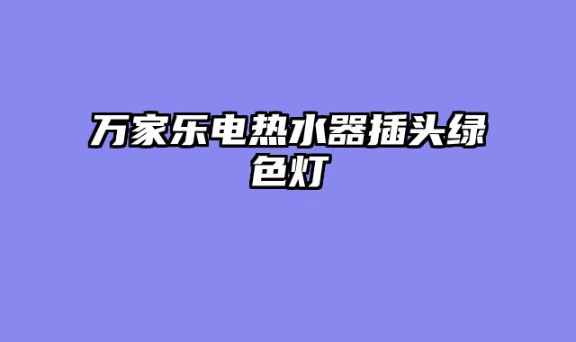 万家乐电热水器插头绿色灯