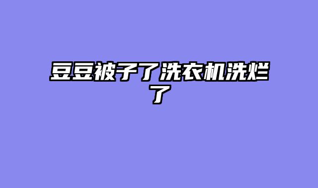 豆豆被子了洗衣机洗烂了