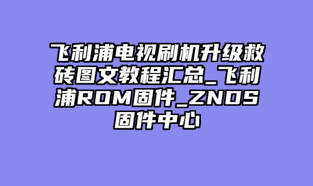 飞利浦电视刷机升级救砖图文教程汇总_飞利浦ROM固件_ZNDS固件中心