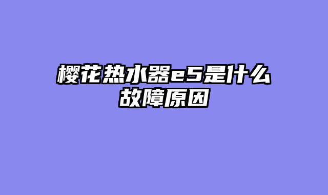 樱花热水器e5是什么故障原因