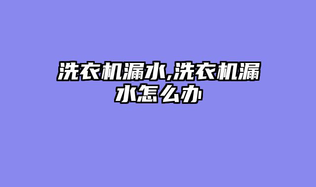洗衣机漏水,洗衣机漏水怎么办