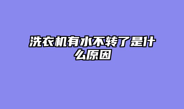 洗衣机有水不转了是什么原因