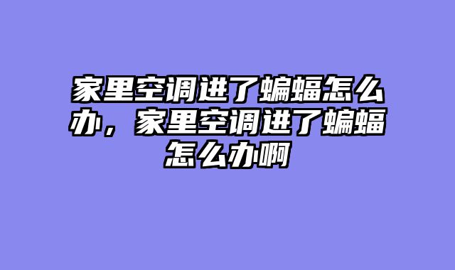 家里空调进了蝙蝠怎么办，家里空调进了蝙蝠怎么办啊