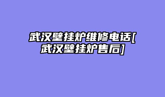 武汉壁挂炉维修电话[武汉壁挂炉售后]