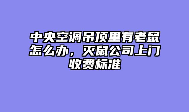 中央空调吊顶里有老鼠怎么办，灭鼠公司上门收费标准