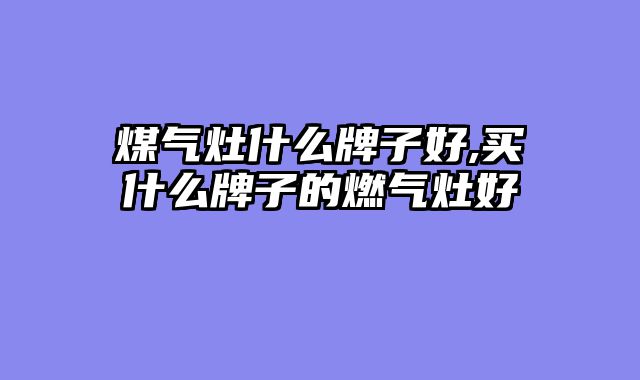 煤气灶什么牌子好,买什么牌子的燃气灶好