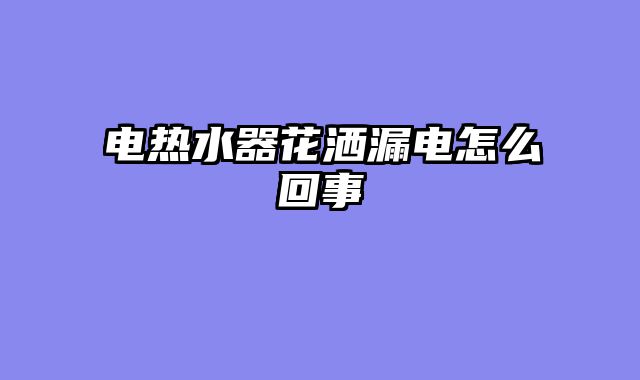 电热水器花洒漏电怎么回事