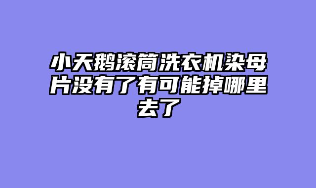 小天鹅滚筒洗衣机染母片没有了有可能掉哪里去了