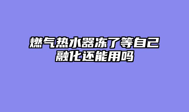 燃气热水器冻了等自己融化还能用吗