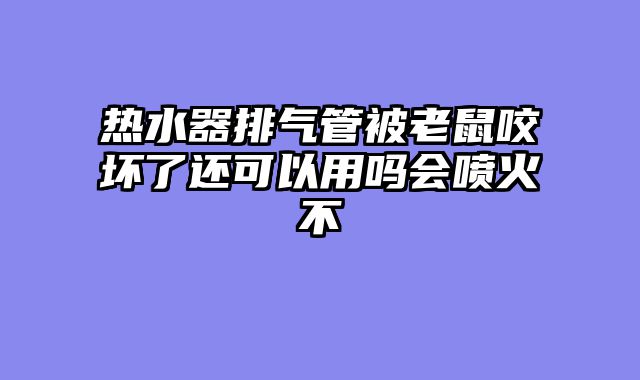 热水器排气管被老鼠咬坏了还可以用吗会喷火不